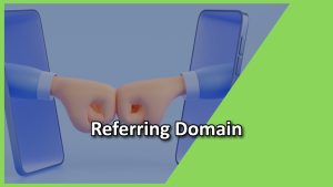 referring domain